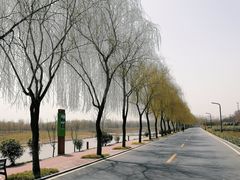 -洨河生态公园
