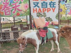 -杭州千岛湖开元度假村