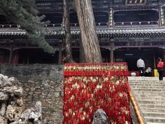-潭柘寺景区