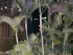 -勝記酒家·37年老字号·经典粤菜(荔枝公园店)