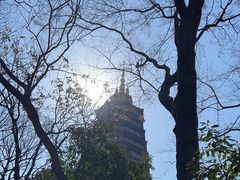 -红梅公园