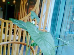 -听雨小筑茶舍(观音桥·龙湖新壹街店)