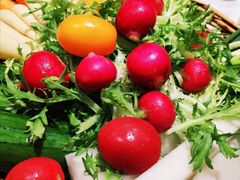 -老阿妈蒙古村·蒙古包·草原文化·歌舞表演(老君堂店)