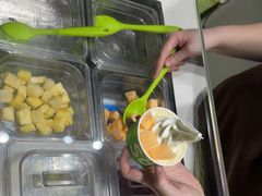 -Salud撒露欧洲冻酸奶(北苑上品店)