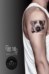 -越域刺青