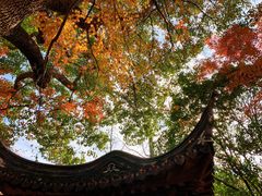 -秋霞圃