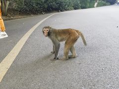 -黔灵山公园