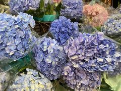 -盒马鲜生(岭南新世界店)