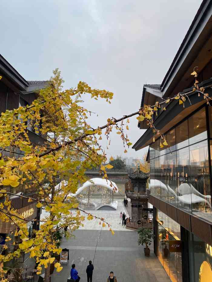 翠园(成都远洋太古里店)-"位置绝对一流.989898中午几个姐妹.