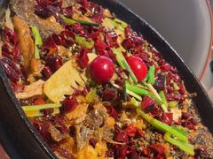 -老板恋上鱼(恒隆广场店)