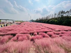 -嘉北郊野公园
