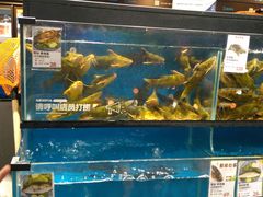 水产区-盒马鲜生(曜一城店)