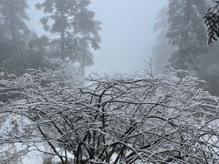 -瓦屋山景区
