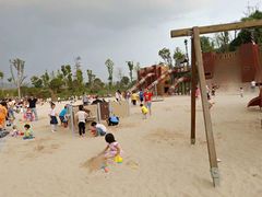 -枫香湖儿童公园