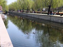 -海棠花溪(元大都城垣遗址公园)