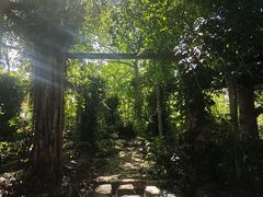 -广西壮族自治区药用植物园