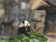 -香港海洋公园