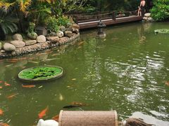 -厦门日月谷温泉渡假村