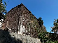 -佛山华盖山公园