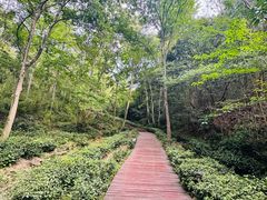 -万佛湖风景区
