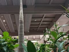 -弘安丽水温泉酒店