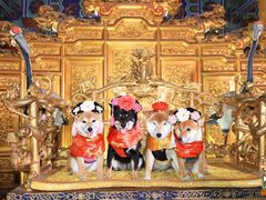 -横店影视城明清宫苑园区