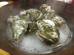 -蚝专家(北滘店)