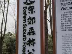 -东郊湿地公园
