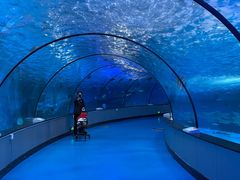 -泉城欧乐堡海洋极地世界