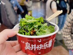 -黑色经典臭豆腐·湖南特产(坡子街店)