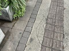-溪边姑娘·拉丝酸奶水果捞(春熙路店)