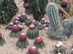 -深圳仙湖植物园