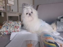 -北京三里屯CHAO酒店