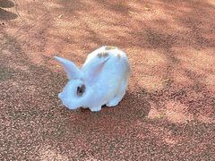 -沈阳鸟岛