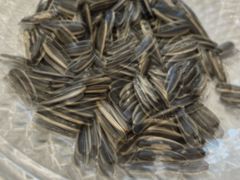 -火龙堂·风味民间菜(文一路店)