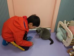 -1013 PET SHOP 宠物商店(近铁城市广场店)