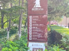 -长影旧址博物馆