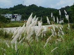 -海窝子古镇