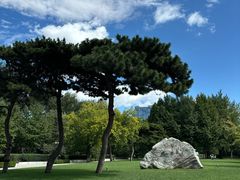 -北京理工大学(中关村校区)