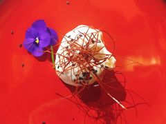 -鱼桥巷·美学川菜