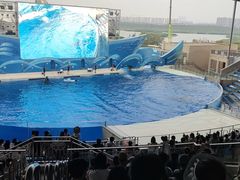-上海海昌海洋公园