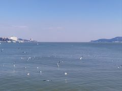 -幸福门