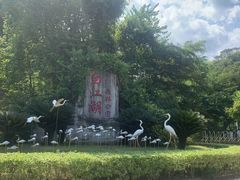 -广州白江湖森林公园