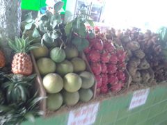 android_upload_pic-芽笼