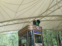 -秦皇岛野生动物园
