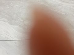 -德元·美联众合24小时动物医院(总院)