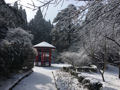 -庐山风景区花径公园