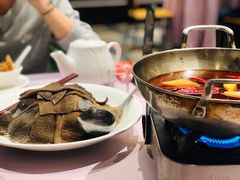 紫阳经典涮毛肚-紫阳海鲜楼·传承闽味(长乐路总店)