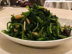 八宝菠菜-大铁勺新津菜(东丽阳光新业广场店)