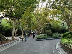 -中山公园
